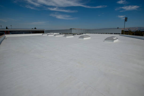 Best Asphalt Shingles Roofing  in Saddlebrooke, AZ