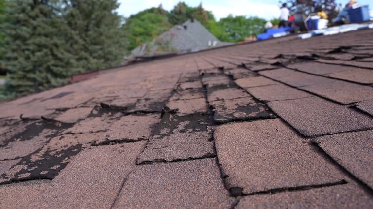 Reliable Saddlebrooke, AZ Roofing Service Solutions