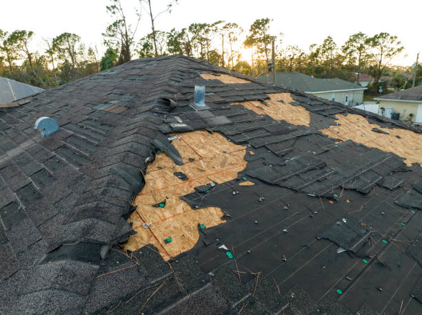 Best Steel Roofing  in Saddlebrooke, AZ