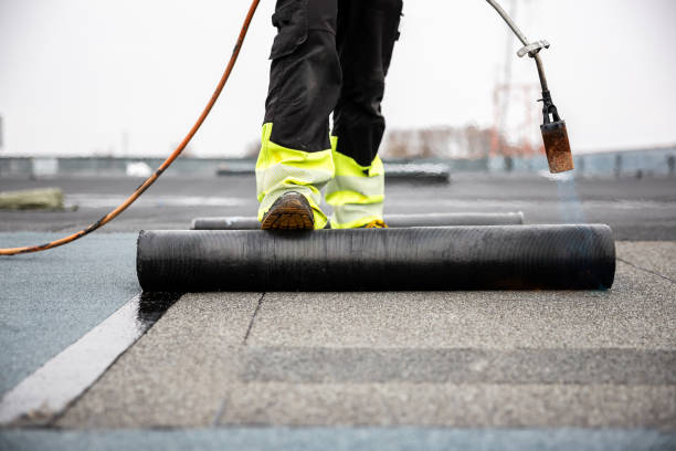 Best Sheet Metal Roofing  in Saddlebrooke, AZ