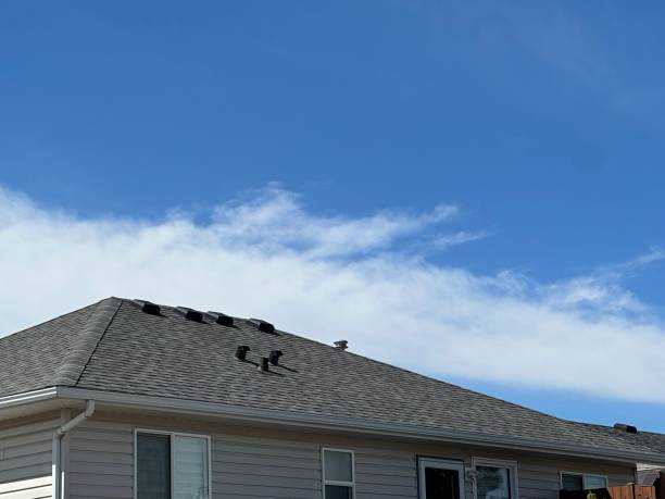 Best Skylight Installation and Repair  in Saddlebrooke, AZ